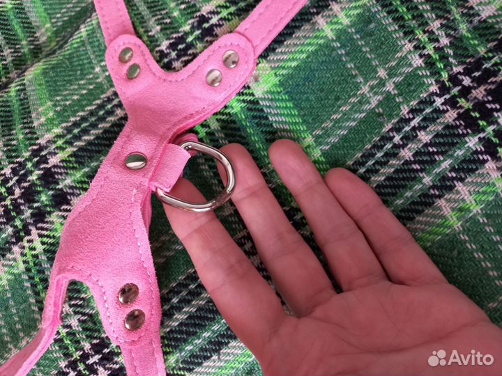 Шлейка для маленькой собаки