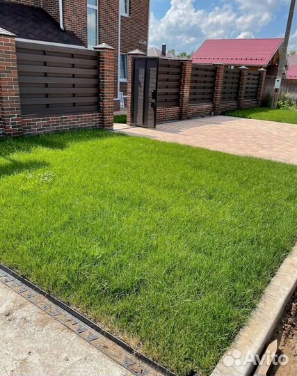 Газон. Рулонный газон