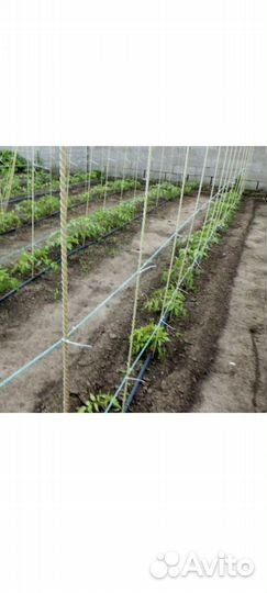 Композитные опоры для растений