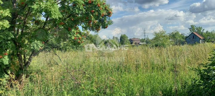 Участок 6,1 сот. (СНТ, ДНП)