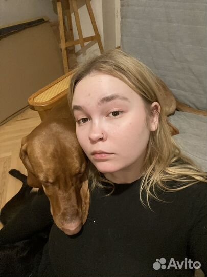 Догситтер (выгул собак, няня)