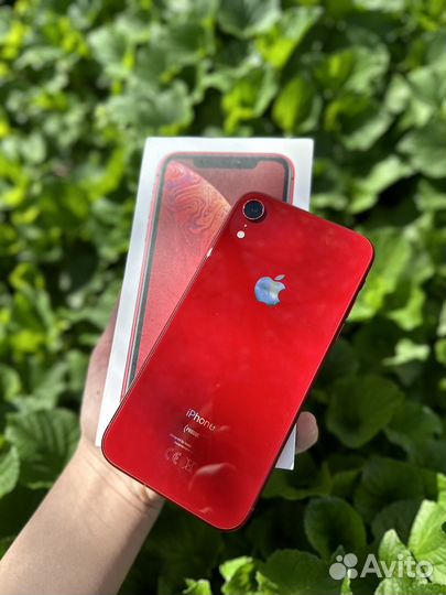 iPhone Xr, 128 ГБ
