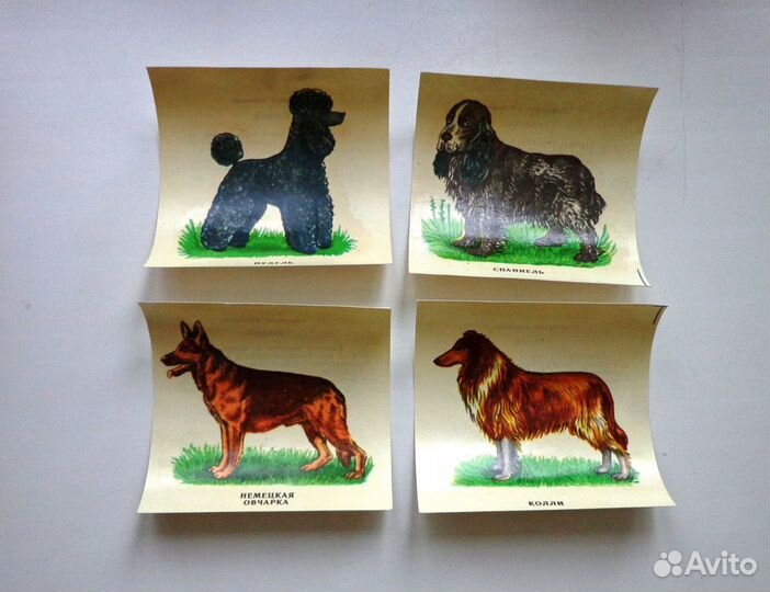 Переводные картинки СССР