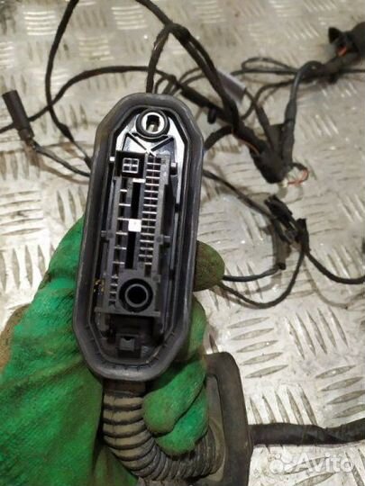 Проводка двери передняя правая Bmw X6 E71 N54B30A