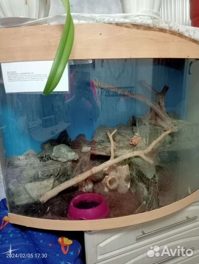 Продам террариум для ваших питомцев