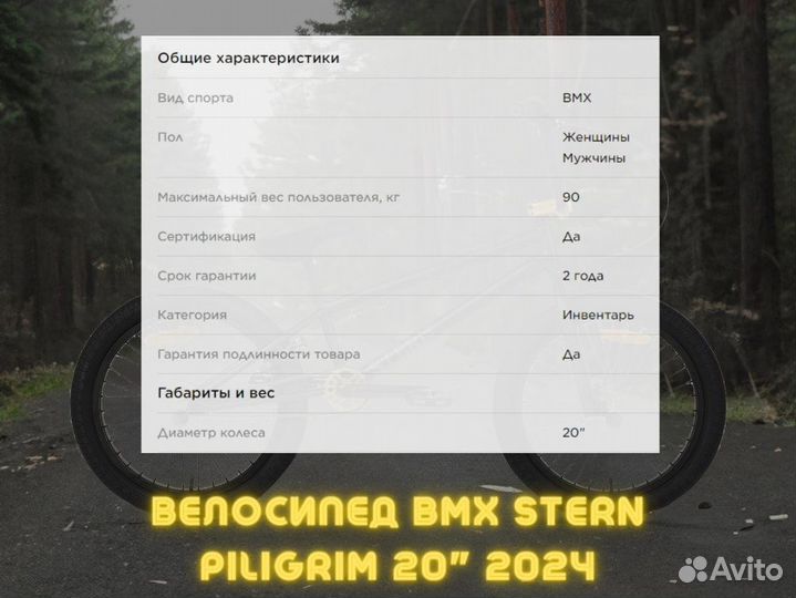 Велосипед BMX Stern Piligrim 20