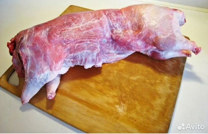 Мясо нутрии