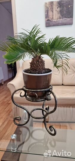 Кашпо для цветов ковка