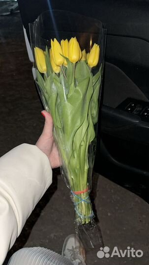Тюльпаны оптом