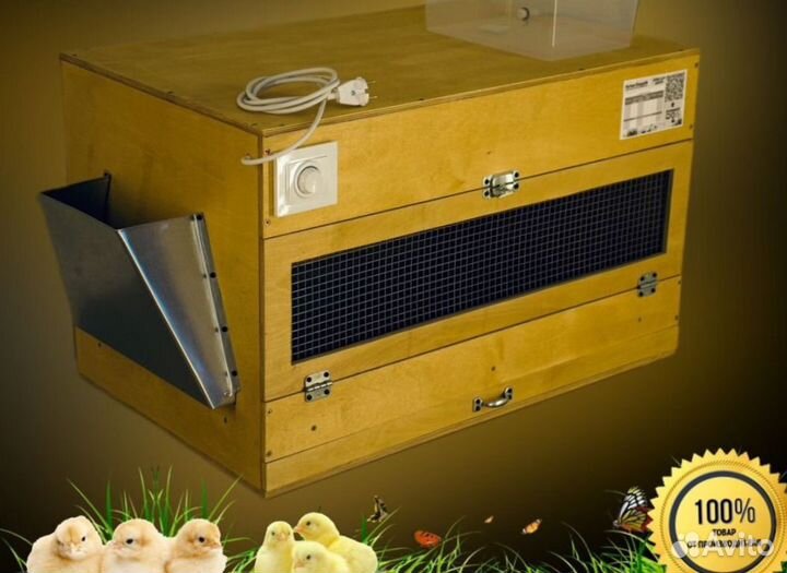 Брудер для цыплят под ключ