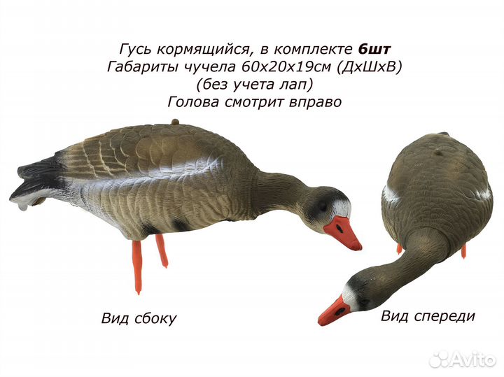 Чучела белолобых гусей для охоты 10 штук комплект