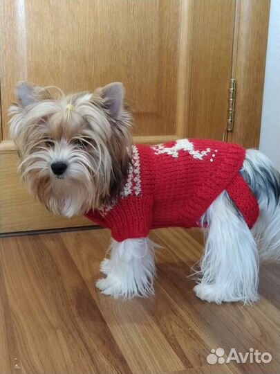 Комбинезон, свитера