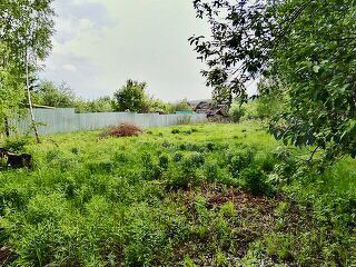 Участок 8 сот. (ИЖС)