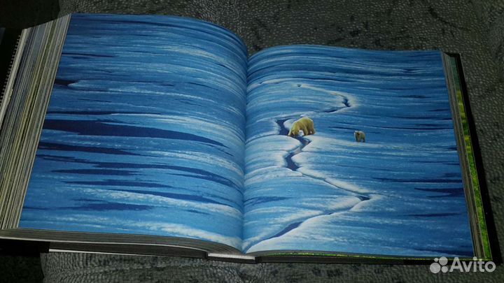 Подарочное издание. Фотоальбом Земля