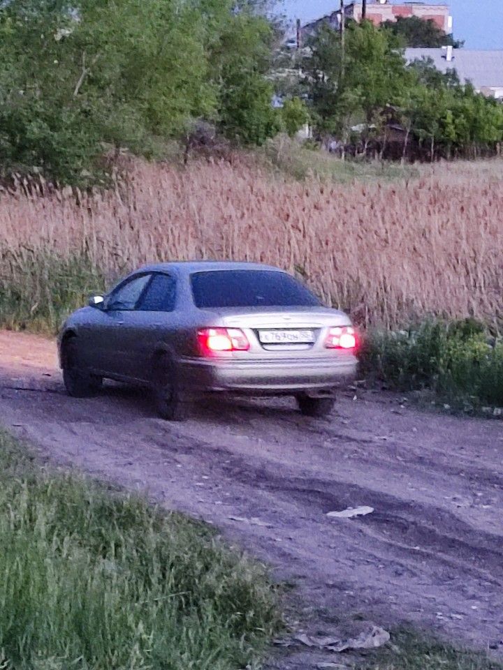 Nissan Bluebird Sylphy: фото владельца
