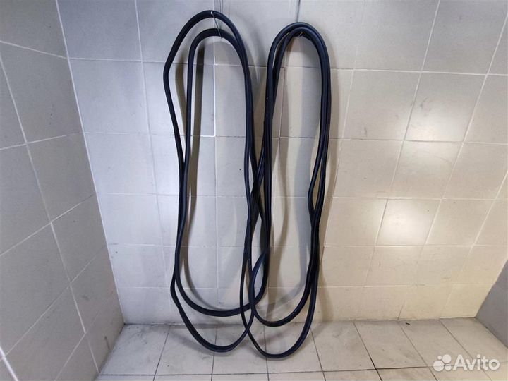 Уплотнители проемов дверей комплект Renault Sceni