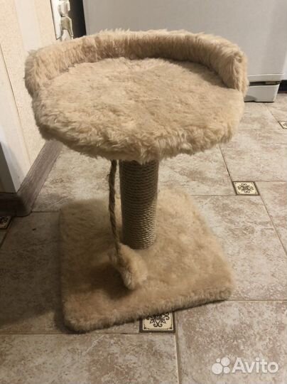 Когтеточка