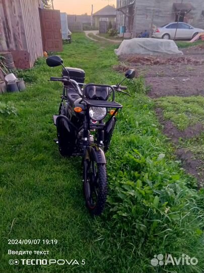 Альфа лесник