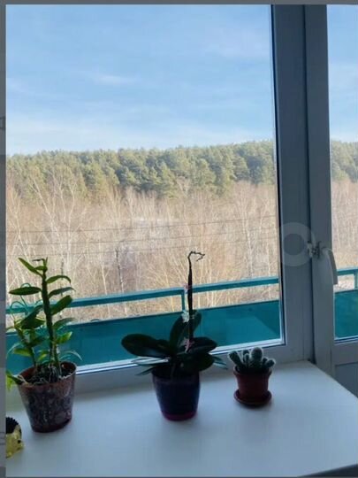 1-к. квартира, 34 м², 3/5 эт.