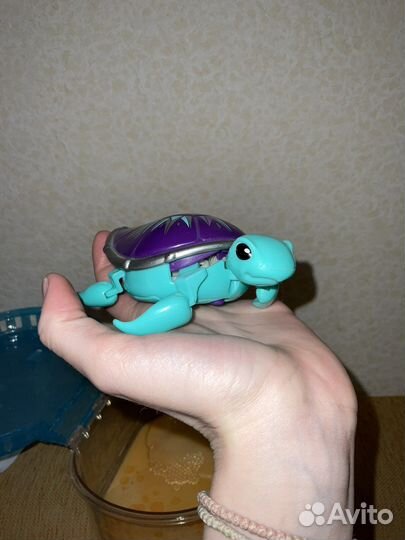 Игрушка Little Live Pets Черепашка