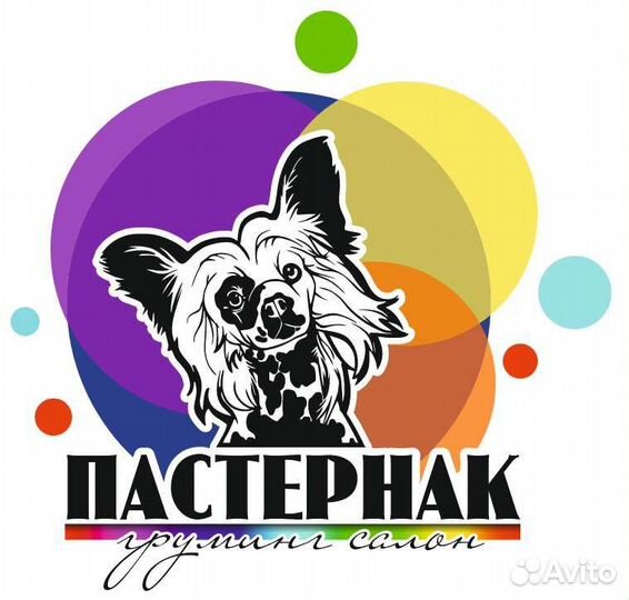 Груминг, Стрижка собак и кошек, экспресс линька