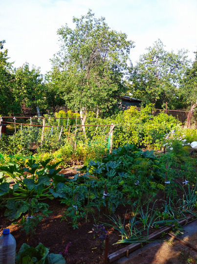 Дача 16,7 м² на участке 6 сот.