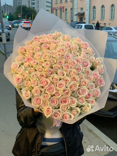 101 Роза Цветы гортензии