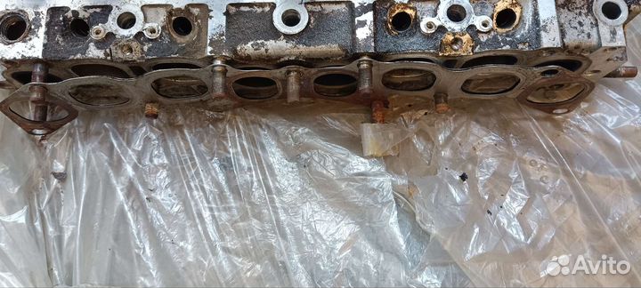 Гбц Танаки на эвотек, evotech