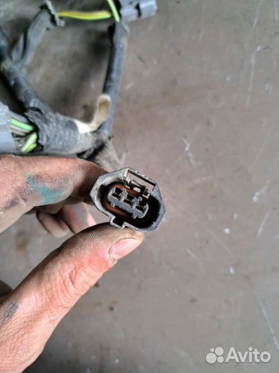 Проводка двигателя Mazda 3 MPS