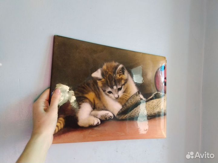 Фотокартина СССР «Котята» винтаж