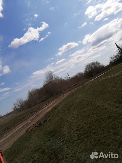 Пчелопакеты, пчелосемьи