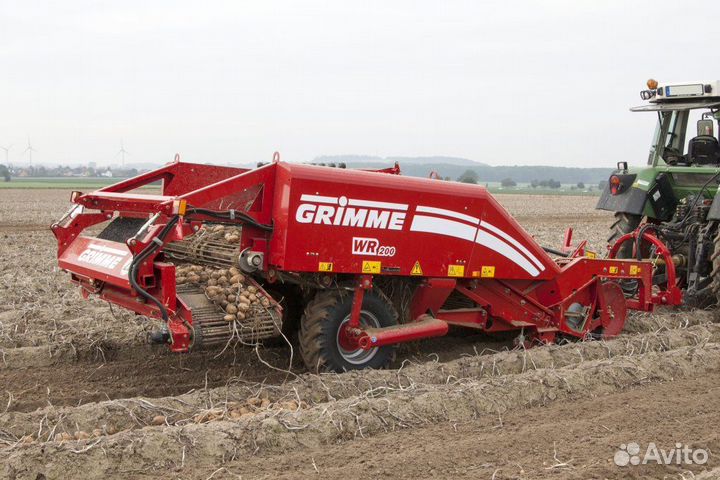 Копатель корнеплодов Grimme WR 200, 2023