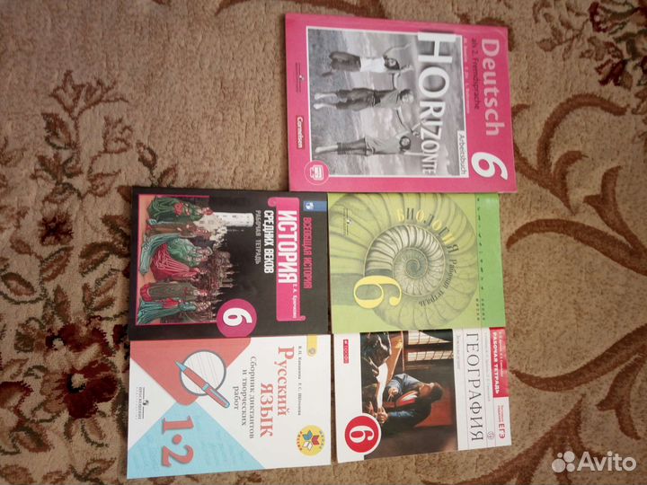 Рабочие тетради за 6 класс