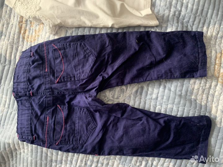 Бриджи pelican