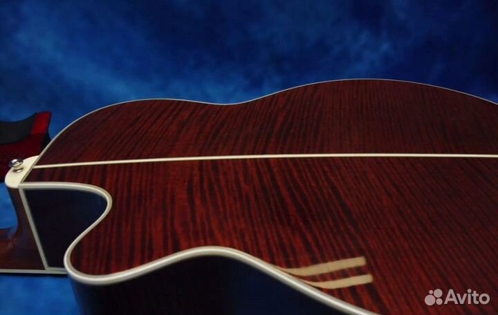 Электроакустика Takamine NPT-110. Japan. Кейс