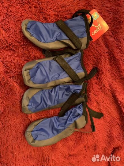 Ботинки для собак