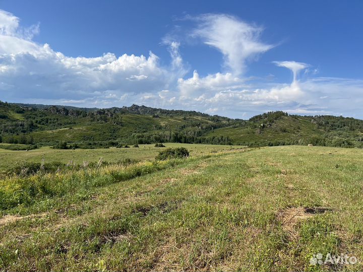 Продам базу