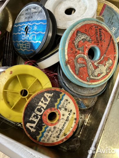 Леска рыболовная