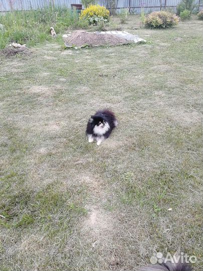 Красивый мальчик