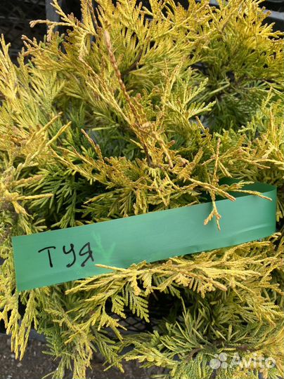 Бирки для подписывания растений, ленточки