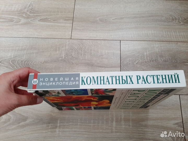 Книга Комнатные растения