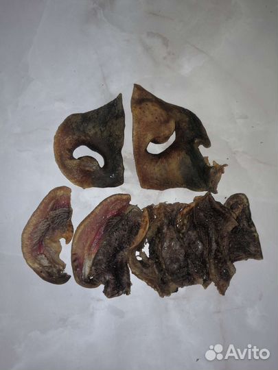 Лакомства для собак