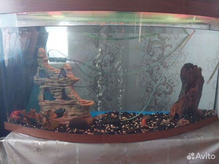 Аквариум