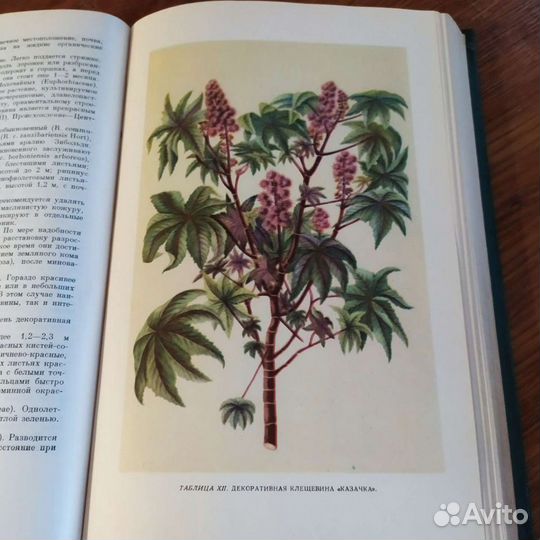 Книга 1953 г