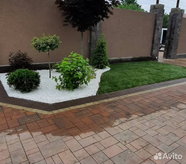 Газон в рулонах