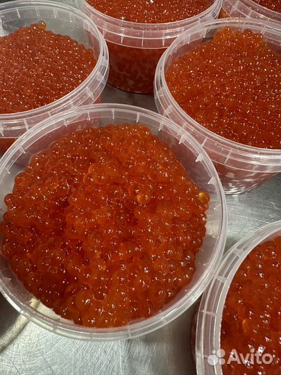 Икра Чавычи 1кг Нерест 2023