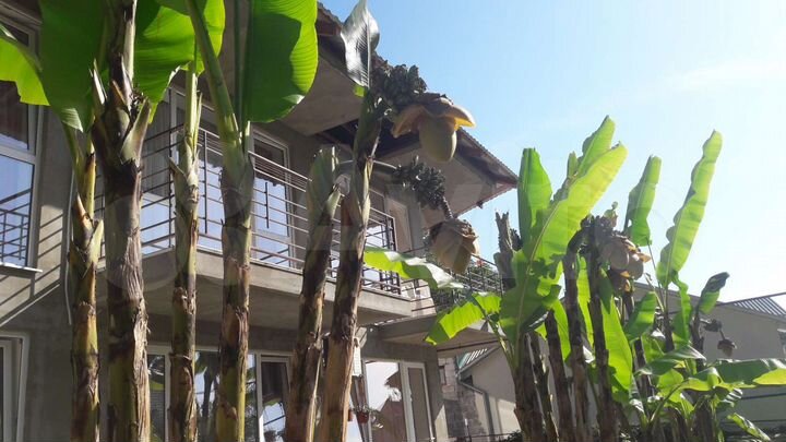 Комната 17 м², 1/2 эт.