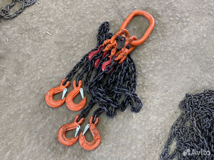 Цепные пауки чалки