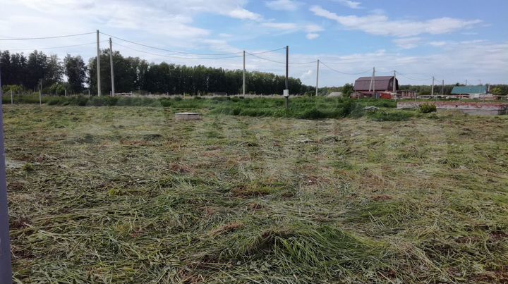 Участок 10 сот. (СНТ, ДНП)