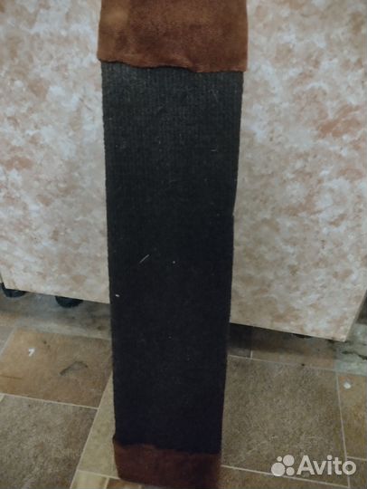 Когтеточка